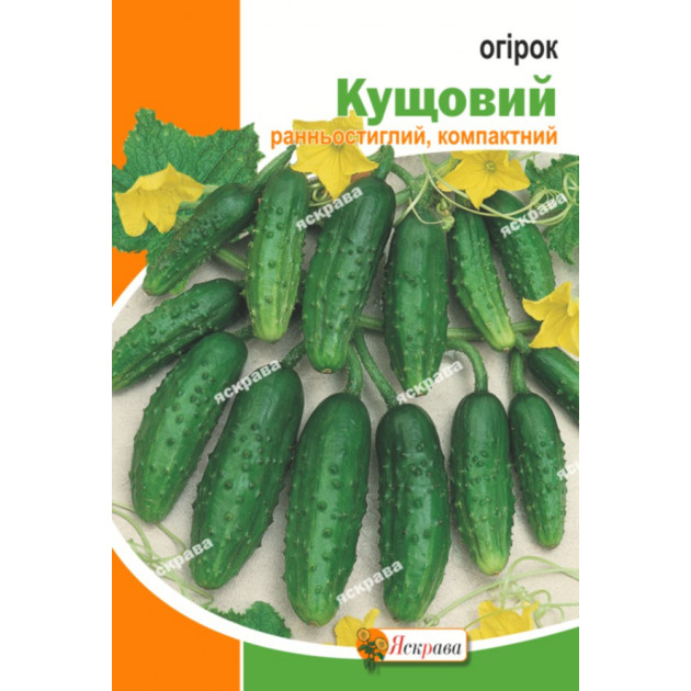 Огірок Кущовий 10 г