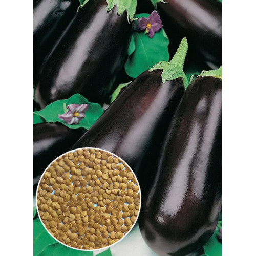 Баклажан Фиолетовое чудо весовой (семена) 1 кг