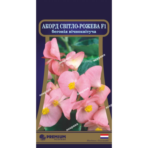 Бегония вечноцветущая  Аккорд Светло-розовая F1 10 семян в оболочке