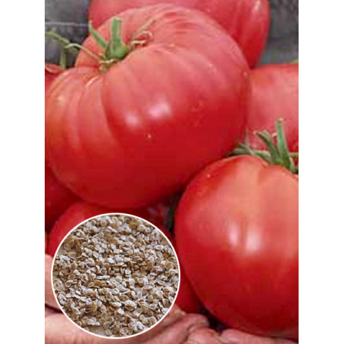 Томат Червоний велетень ваговий (насіння) 1 кг