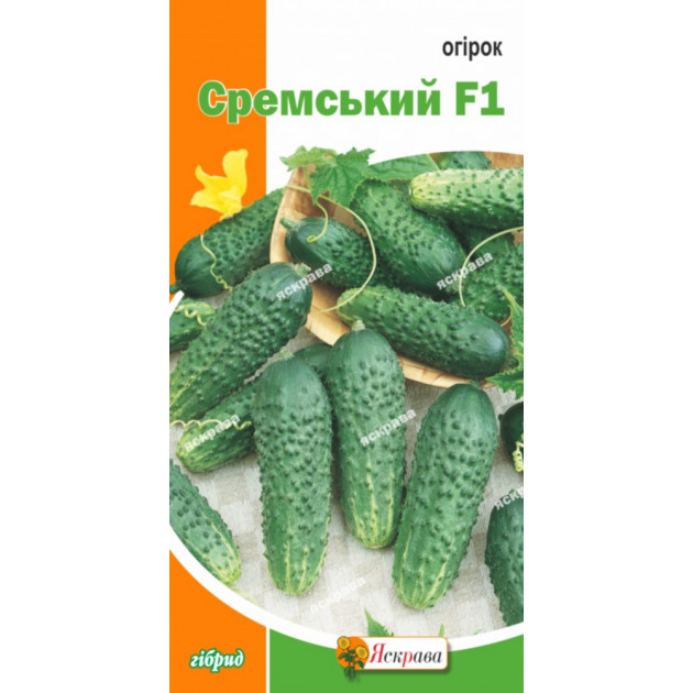 Огурец Сремский F1 0.5 г