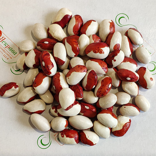 Фасоль Красная Шапочка весовая (семена) 1 кг