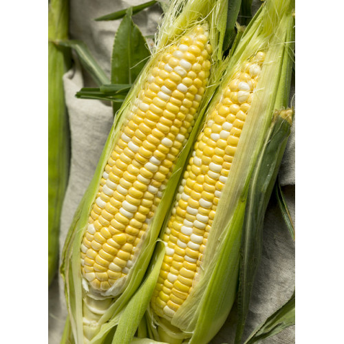 Кукуруза Лакомка весовая (семена) 1 кг