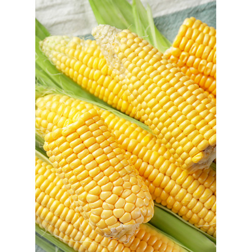 Кукурудза Делікатесна вагова (насіння) 1 кг
