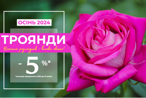 Троянди зі знижкою -5%