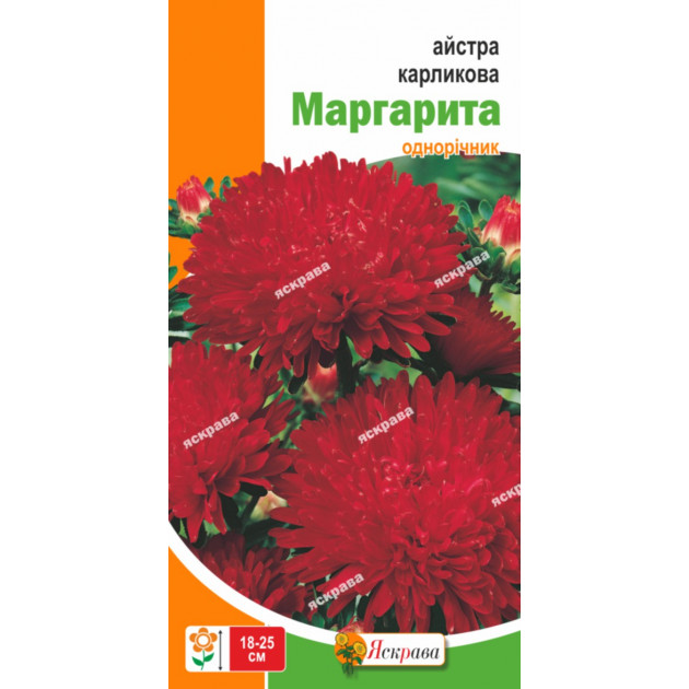 Астра карликовая Маргарита 0.3 г