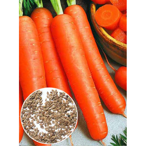 Морква Перфекція вагова (насіння) 1 кг