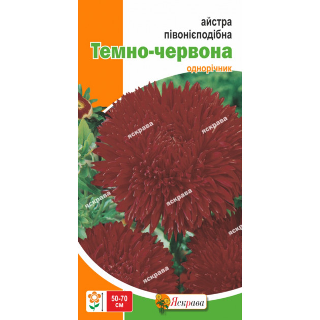 Астра пионовидная Тёмно-красная 0.3 г