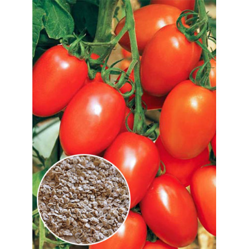 Томат Де-Барао червоний ваговий (насіння) 1 кг
