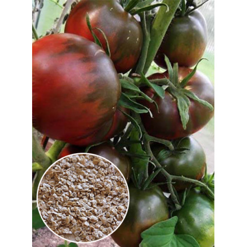 Томат Чорний принц ваговий (насіння) 1 кг