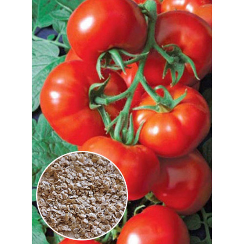 Томат Баллада ваговий (насіння) 1 кг