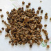 Буряк столовий Бордо ваговий (насіння) 1 кг - оптом