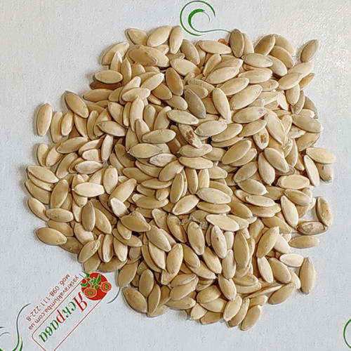 Огірок Гейм (Ніжинський) ваговий (насіння) 1 кг