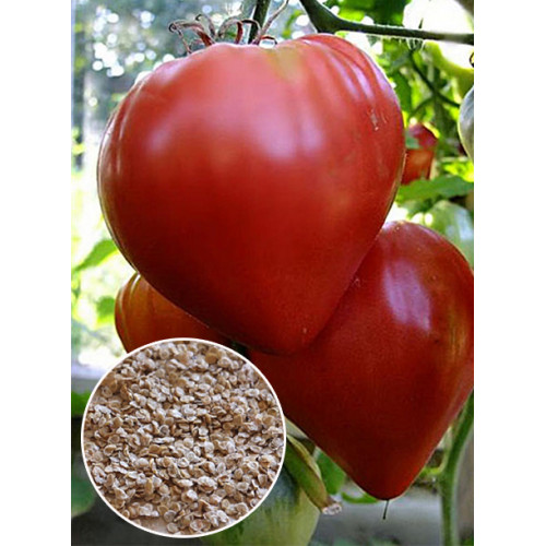 Томат Волове серце ваговий (насіння) 1 кг