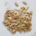Диня Алушта вагова (насіння) 1 кг - оптом
