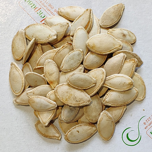 Кабачок Грибівський ваговий (насіння) 1 кг