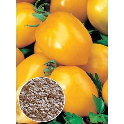 Томат Де Барао золотий ваговий (насіння) 1 кг