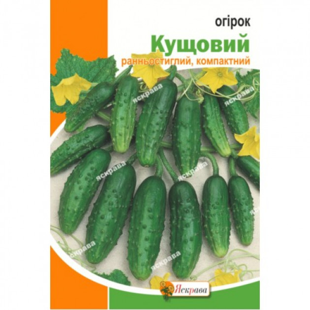 Огурец Кустовой 5 г