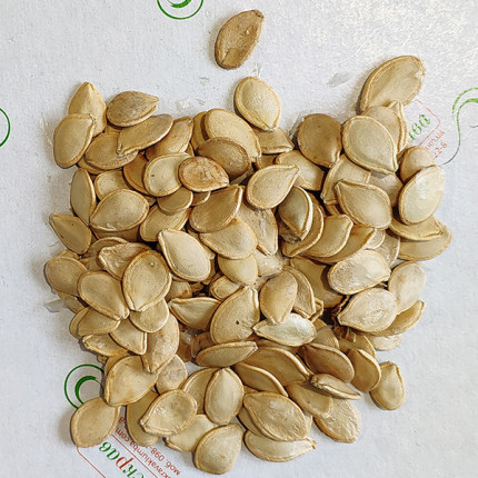 Патисон білий Диск ваговий (насіння) 1 кг
