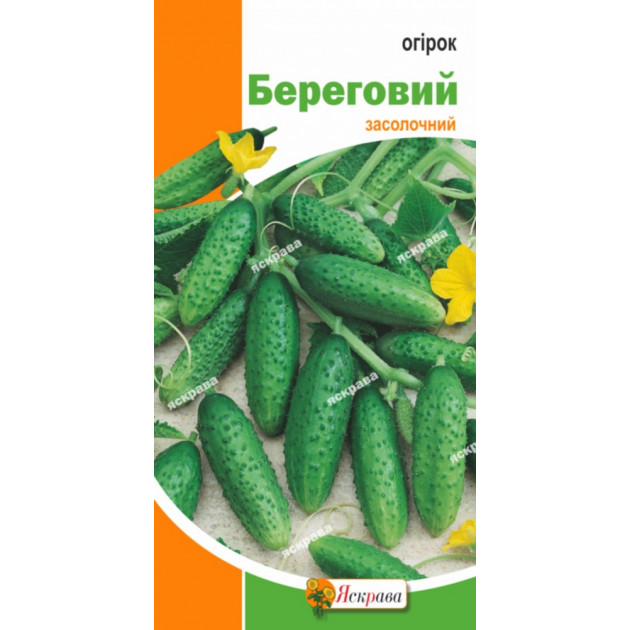 Огурец Береговой 1 г