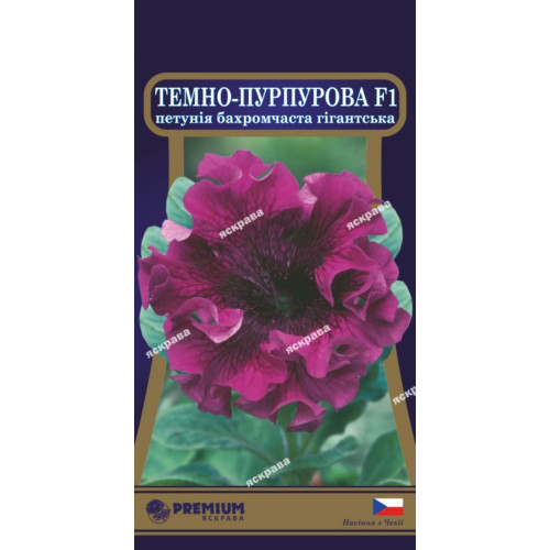 Петуния бахромчатая Тёмно-пурпурная   F1 10 семян в оболочке