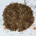 Морква Королева Осені вагова (насіння) 1 кг - оптом