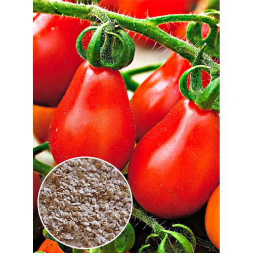 Томат Груша червона ваговий (насіння) 1 кг
