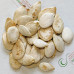 Гарбуз Волжський сірий ваговий (насіння) 1 кг - оптом