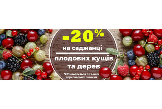 Знижка - 20%