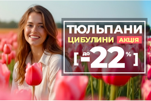 Хітові сорти Тюльпанів зі знижками	 Хітові сорти Тюльпанів зі знижками