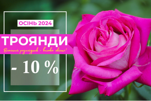 Знижка 10% на всі саджанці Троянд