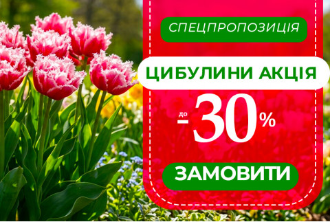 Акція на цибулини - знижка 30 %