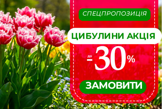 Акція на цибулини - знижка 30 %