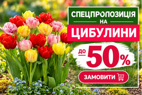 Акція на цибулини - знижка 50 %