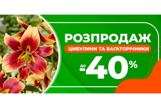 Розпродаж - ЗНИЖКА до -40% 