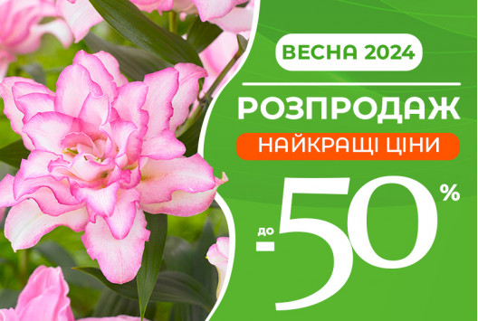 Розпродаж сезону Весна 2024