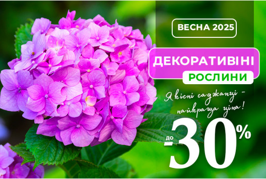 Декоративна вигода: знижки до -30%