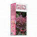 Барбарис Тунберга Rose Glow (контейнер 0.5 л) (упаковка-коробка) - оптом