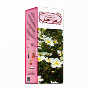 Перстач Limelight (контейнер 0.5 л) (упаковка-коробка)