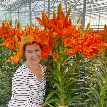 Лилия азиатская Orange Summer 12/14