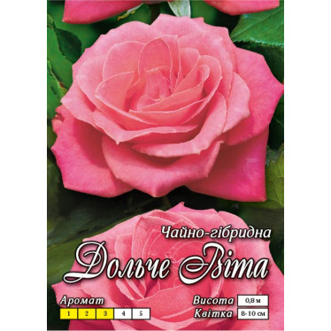 Роза ч/г Дольче Вита (контейнер)