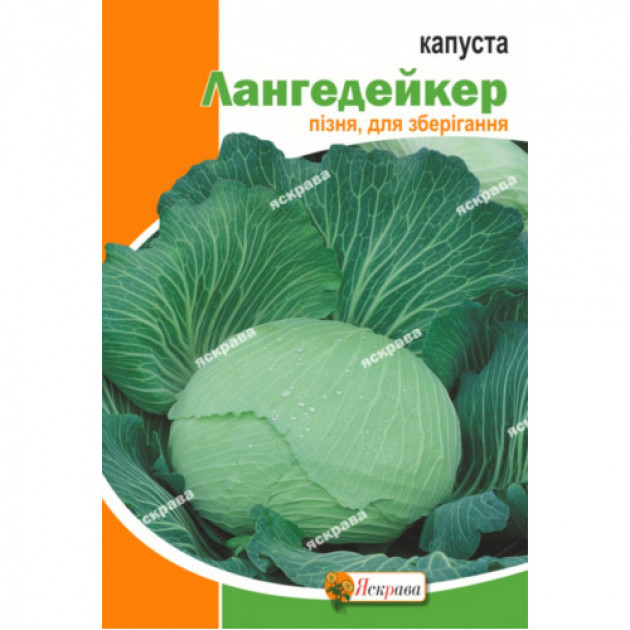 Капуста білокачанна Лангедейкер 10 г АКЦІЯ