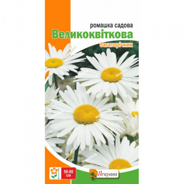 Ромашка садова великоквіткова Біла 0.3 г