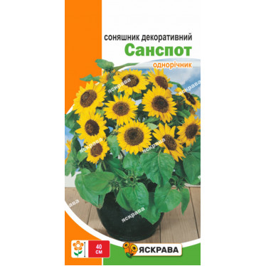 Подсолнух декоративный Санспот низкий 1 г