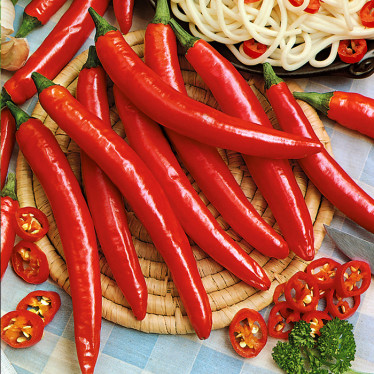 Перец Горький красный весовой (семена) 1 кг Перец Горький красный весовой (семена) 1 кг