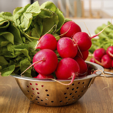 Редиска Рання червона вагова (насіння) 1 кг