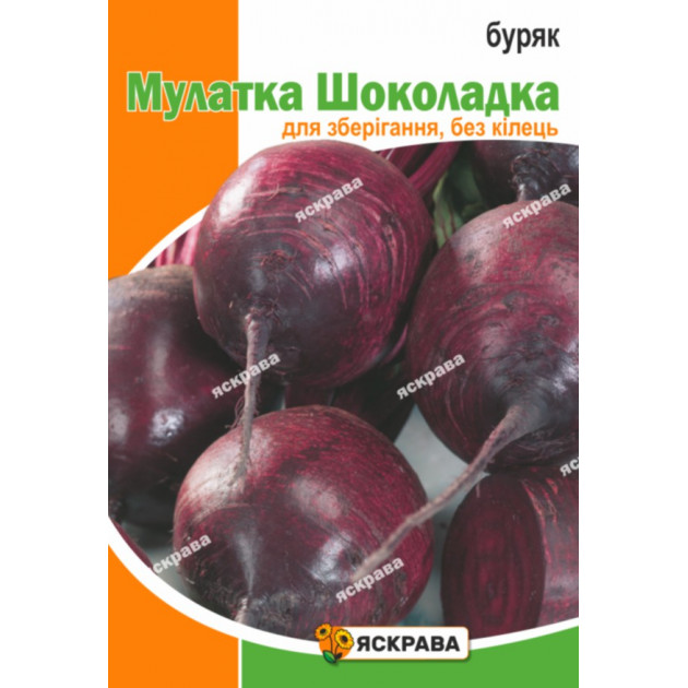 Буряк Мулатка Шоколадка 3 г