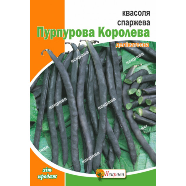 Квасоля спаржева Пурпурова Королева 10 г