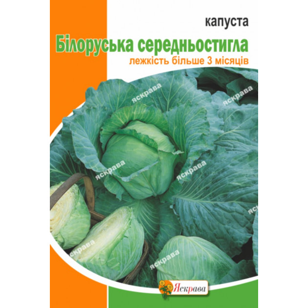 Капуста білокачанна Білоруська 10 г