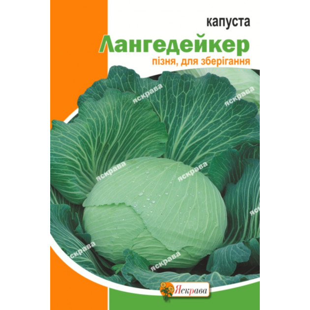 Капуста білокачанна Лангедейкер 10 г